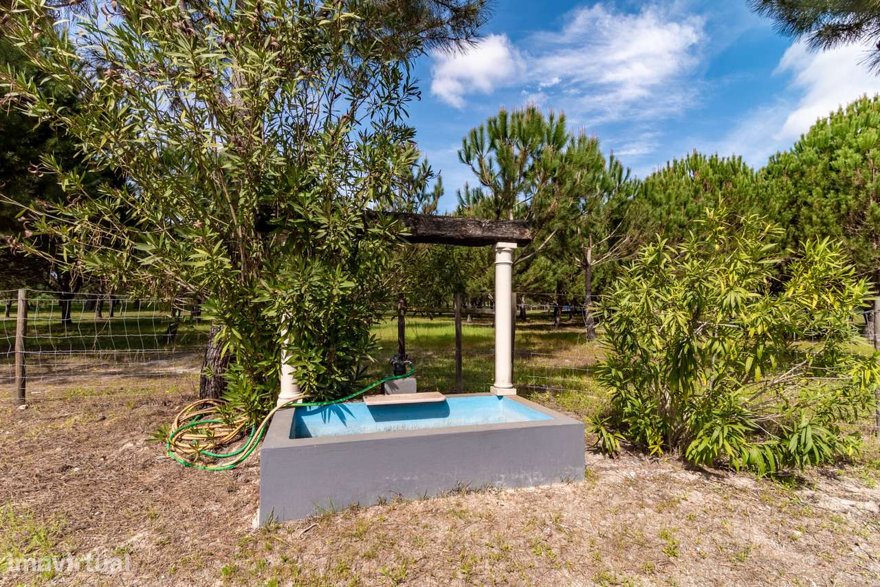 Herdade com 37 Ha com 6 Moradias para Habitação e/ou Turismo | Alcácer - Grande imagem: 3/10