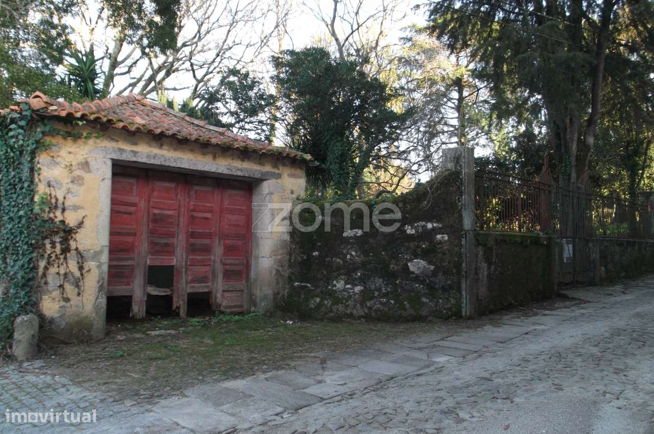 Quinta com edifício em ruinas e terreno com 14666 m2 - Grande imagem: 3/49