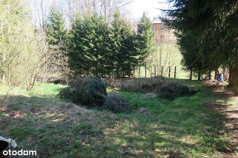 Janowice Wlk. Mały dom 3 pok. 65 m2-10