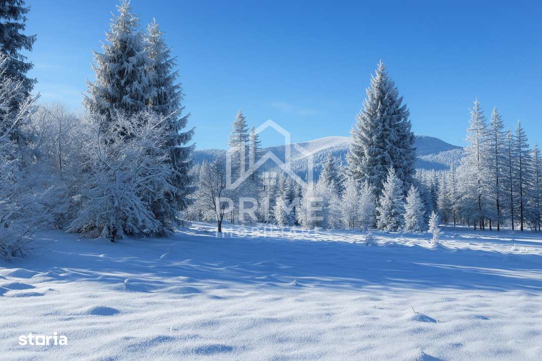 Parcele 500 MP cu CF-uri proprii in intravilanul Galbena, AB - Ariesen - Imagine principală: 4/6