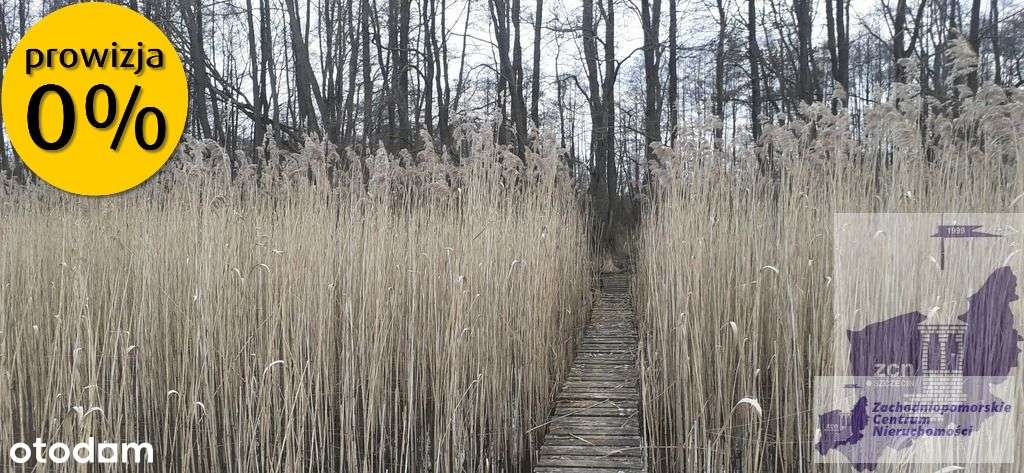 Działka nad jeziorem Woświn-2