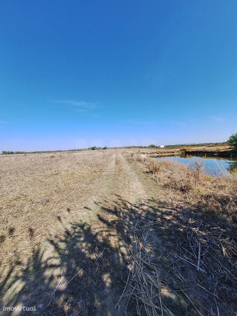 Terreno em Reguengos de Monsaraz - Alentejo c/ abundância em água