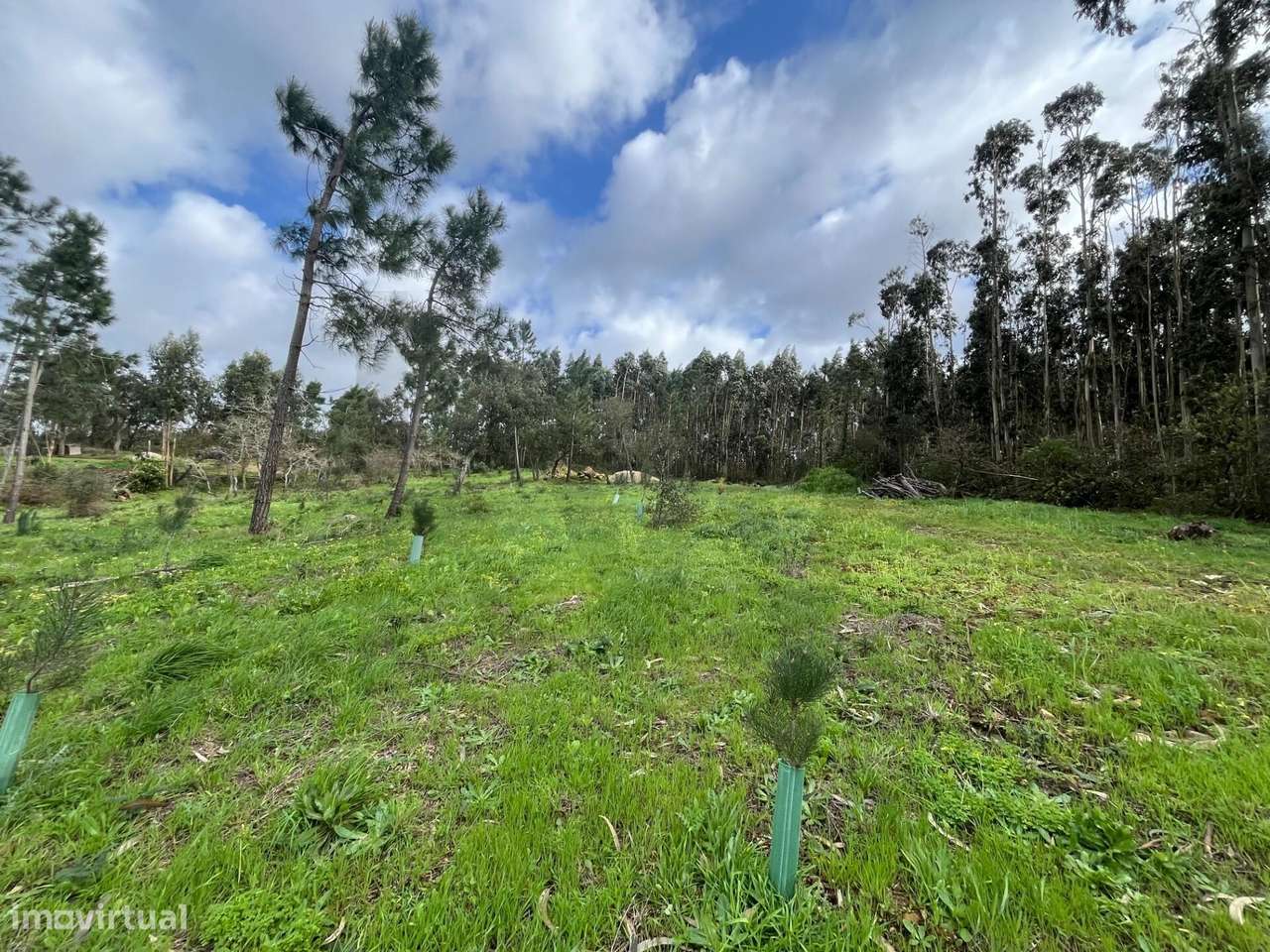 Terreno Rustico no sobreiro com 6.250 m2 - Grande imagem: 3/25