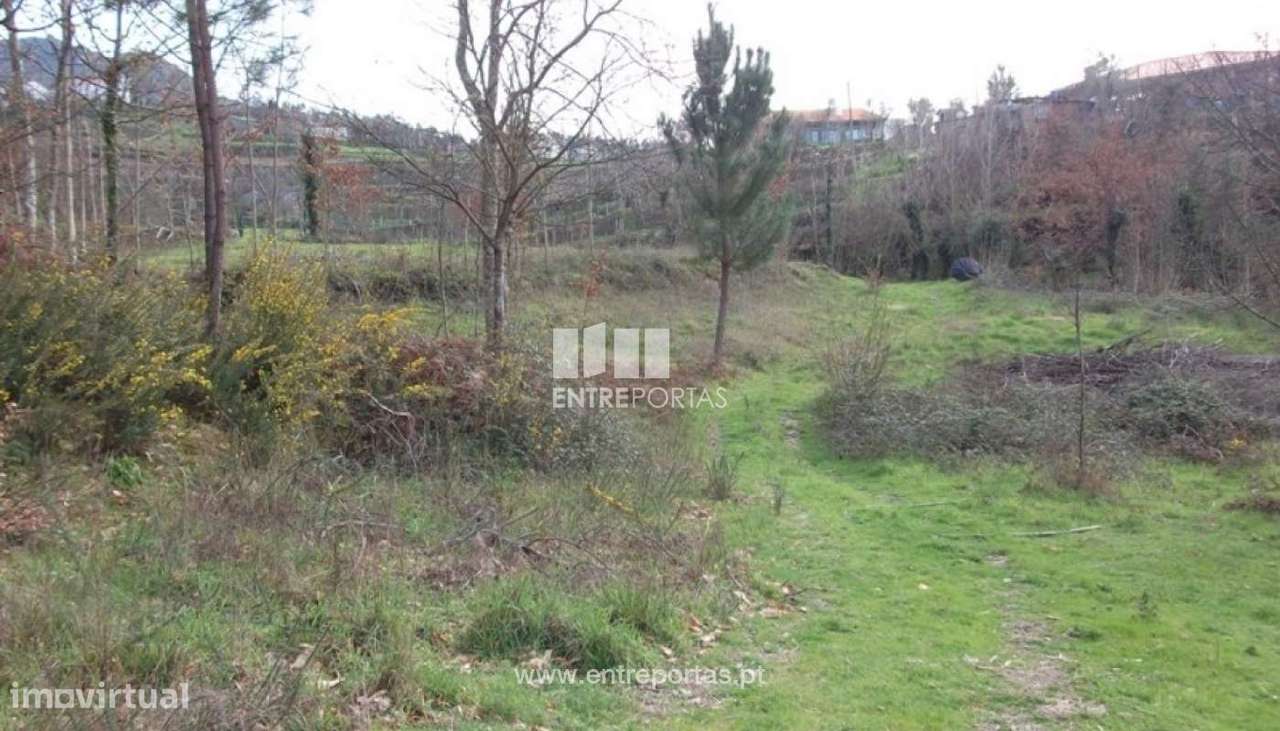 Venda Terreno, Folhada, Marco de Canaveses - Grande imagem: 3/8