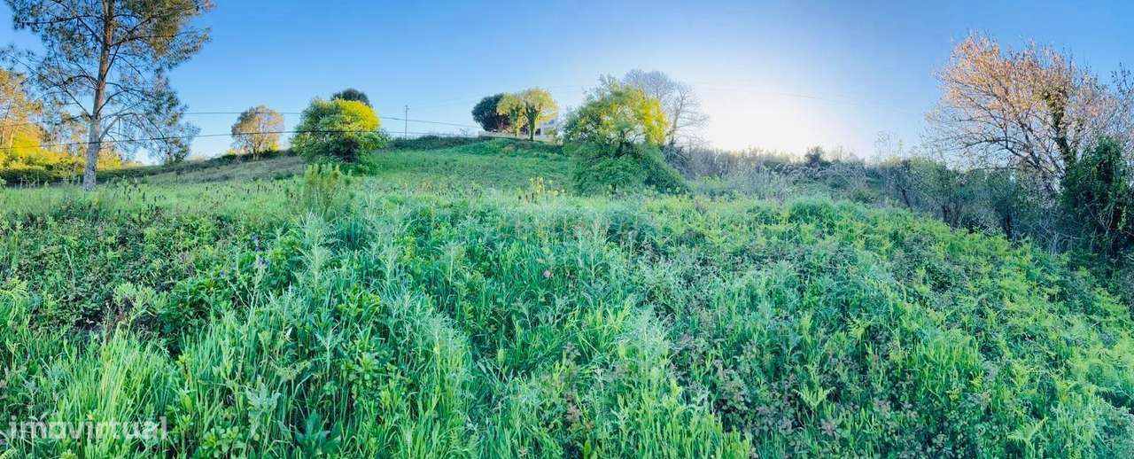 Terreno para construção no Vimeiro-3