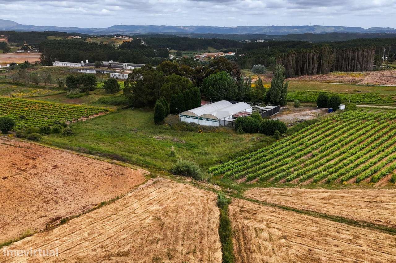 Terreno de cultura e vinha - Grande imagem: 5/17