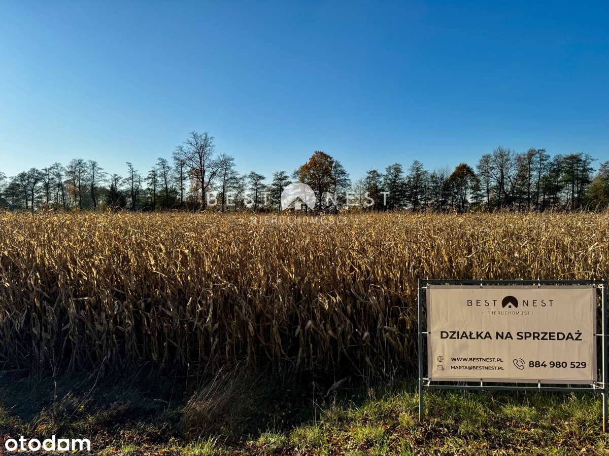 Działka budowlano-rolna z dużym potencjałem - Pełny obrazek: 4/20