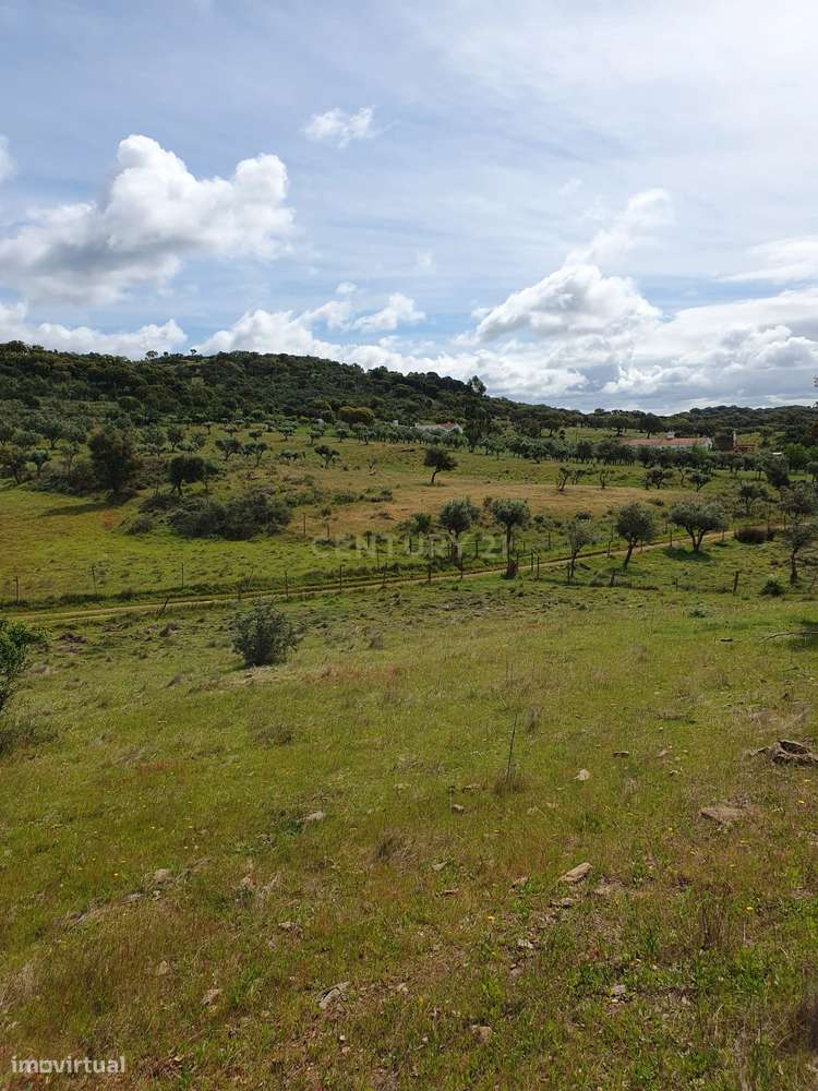 Terreno Urbano na Serra D`Ossa Redondo - Grande imagem: 2/18