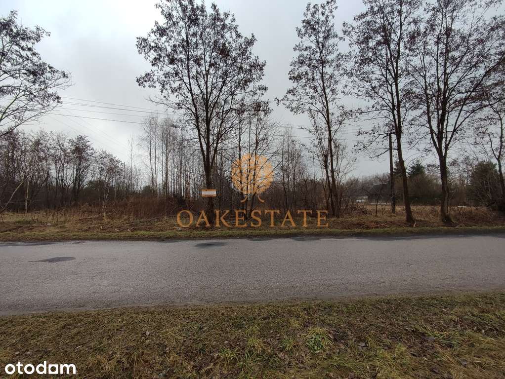 256/9676/OGS - Pełny obrazek: 2/7