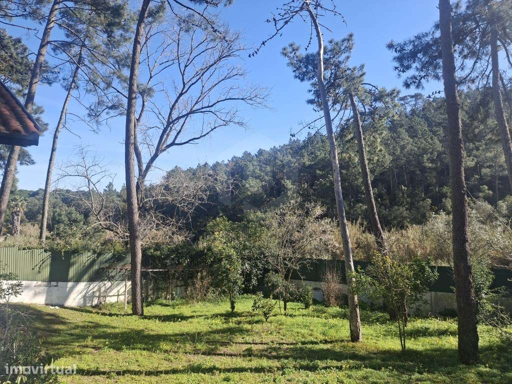 Moradia de Tradicional com Piscina em Lote de 2135 m² - Cotovia-27