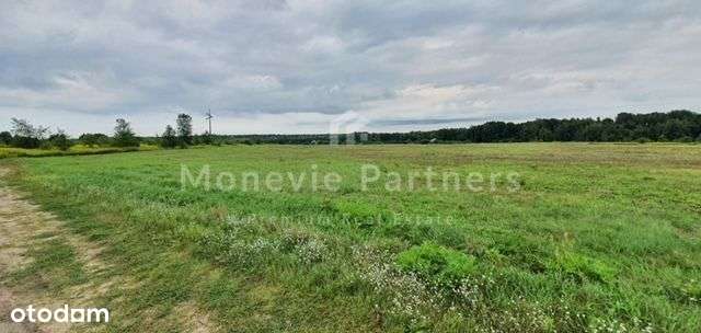 Teren inwestycyjny w okolicy Konstancina-Jeziorny - Pełny obrazek: 5/8