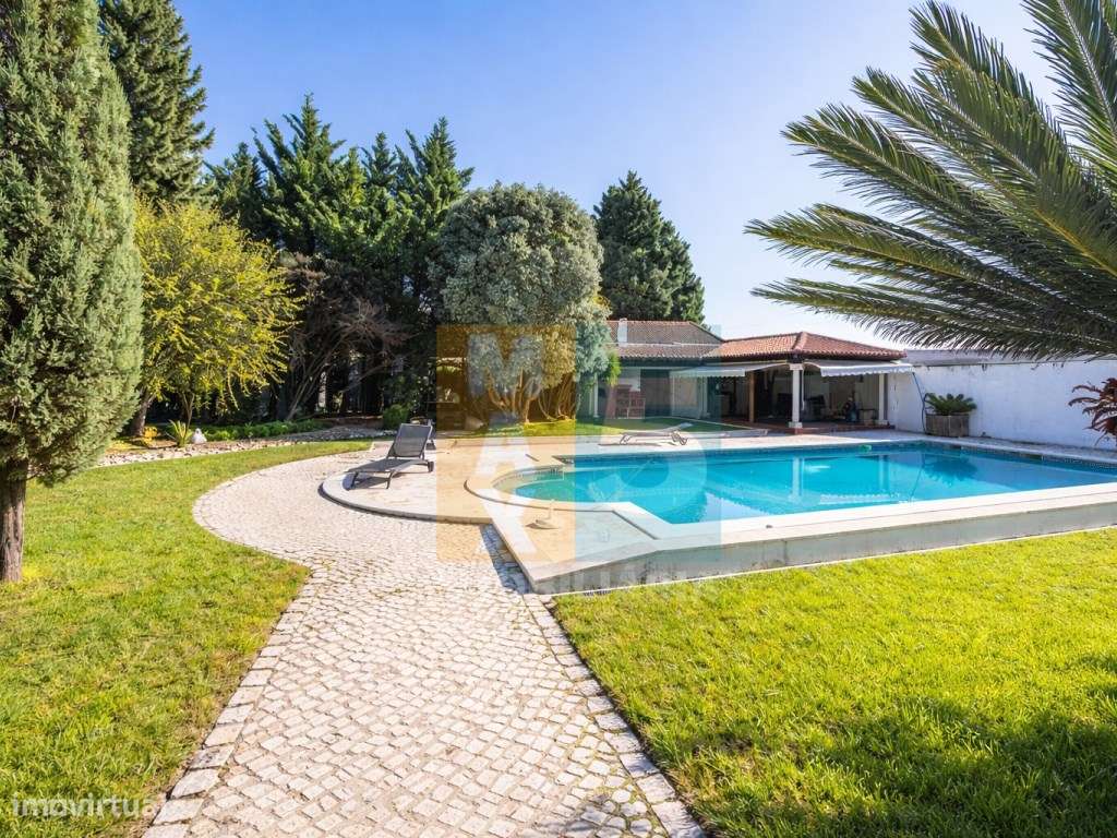 Quinta com 4.880 m2 - Alpiarça-36
