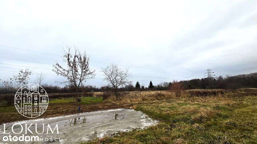 Atrakcyjne Działki Budowlane w Jeżowie Sudeckim-10