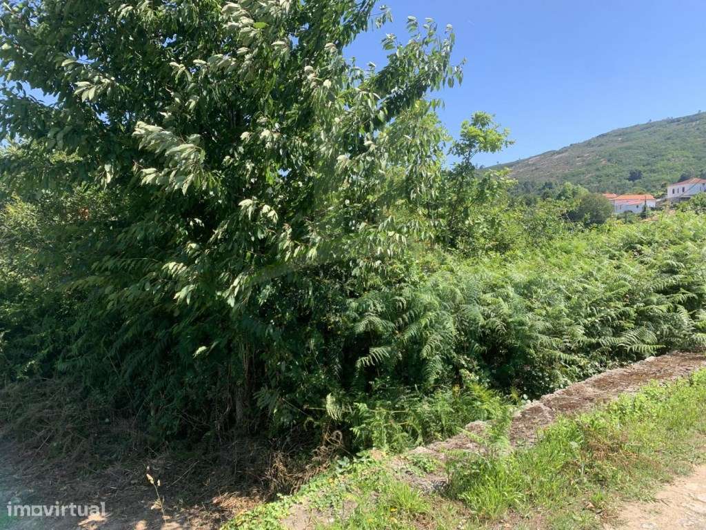 Terreno para venda em Azevedo. - Grande imagem: 5/7