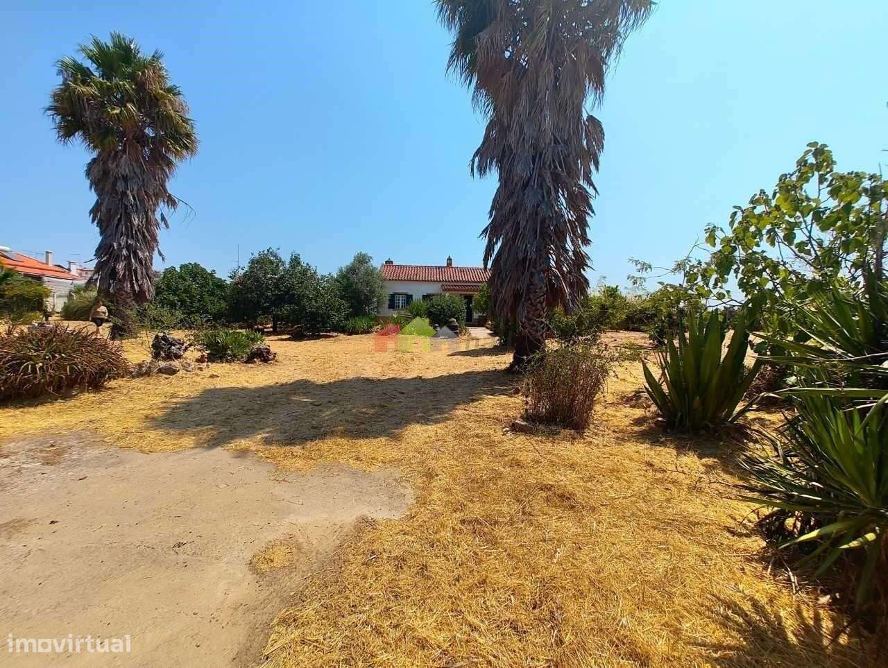 Quinta C/Moradia T2 - Foros de Vale de Figueira-34