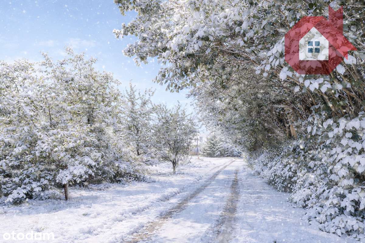 Działka z potencjałem pod dom rodzinny / bliźniak-1
