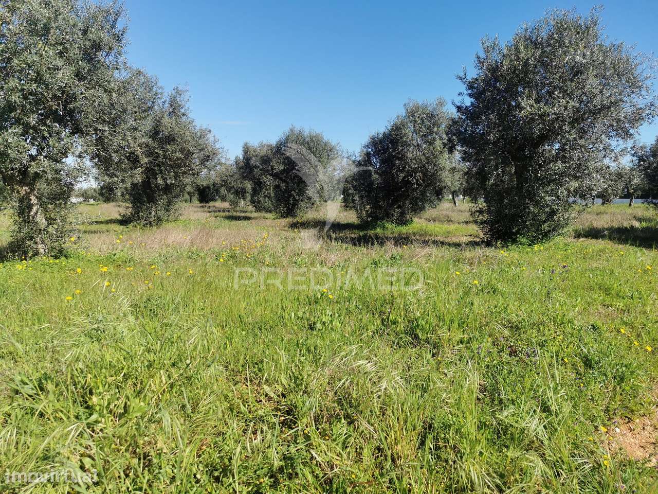 Lote Terreno - Grande imagem: 4/8