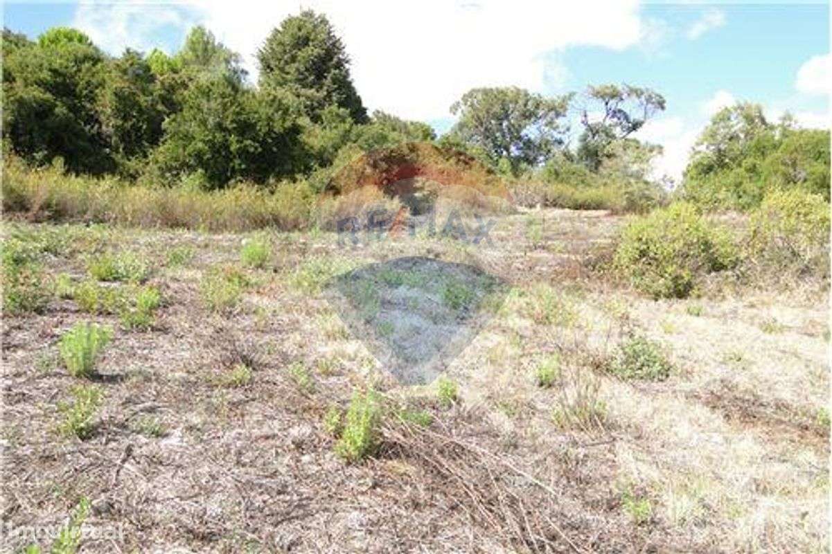 Terreno  para venda - Grande imagem: 5/9