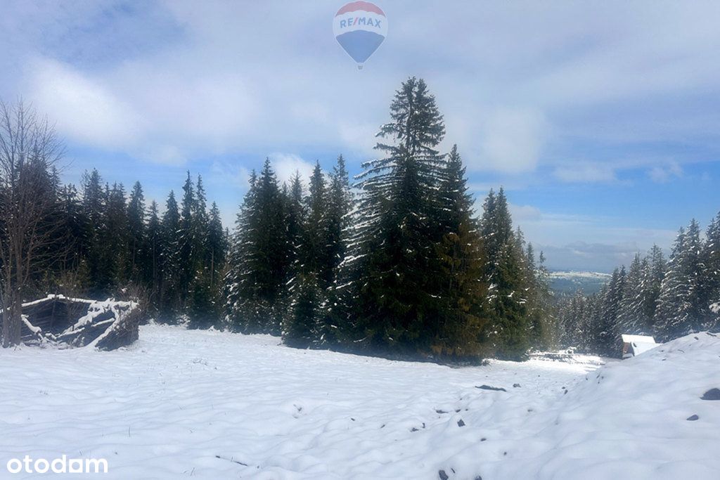 Nieruchomość gruntowa Zakopane -Gubałówka