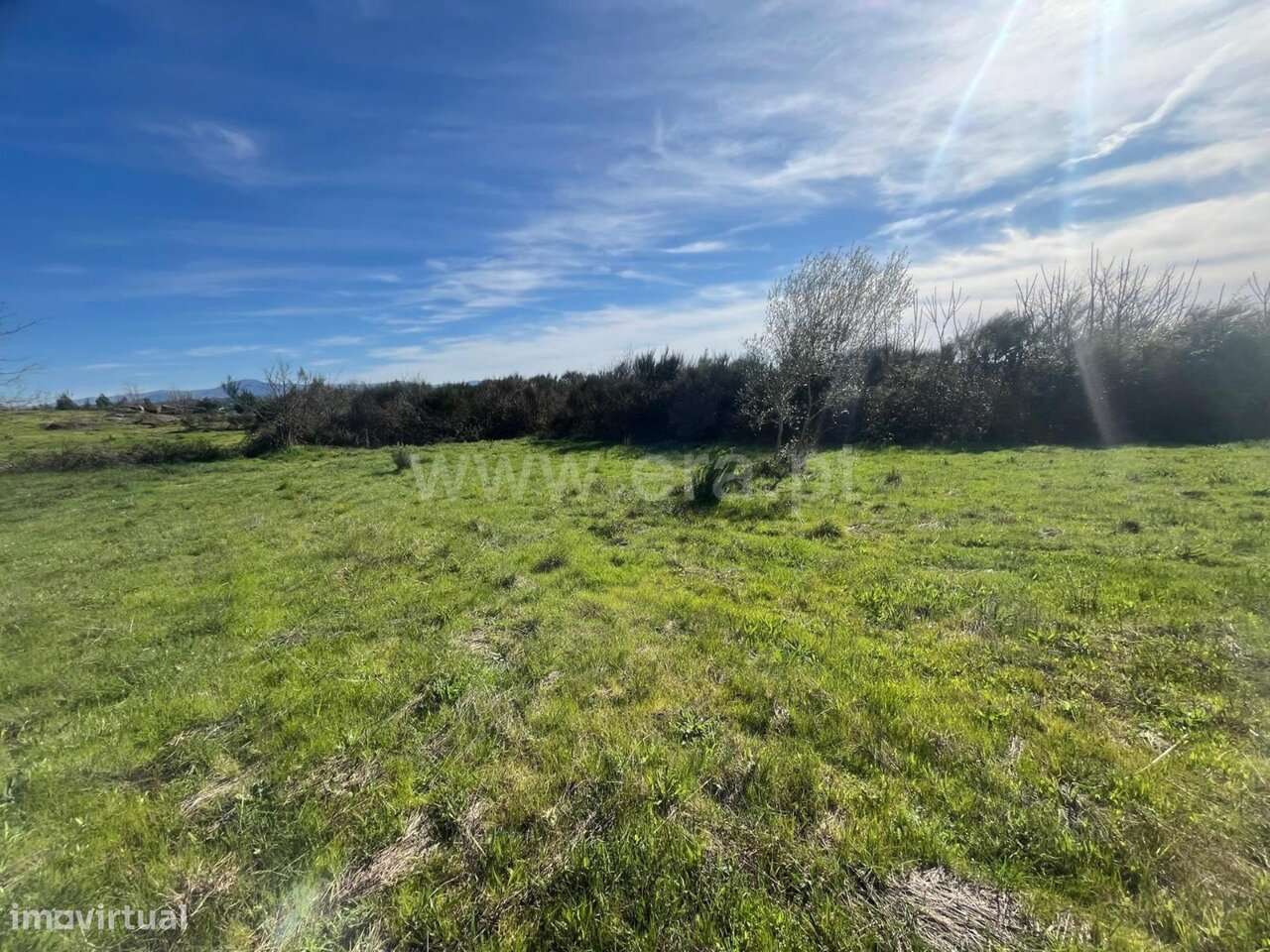 Terreno com ruina / Oliveira do Hospital, Travanca de Lagos - Grande imagem: 5/5