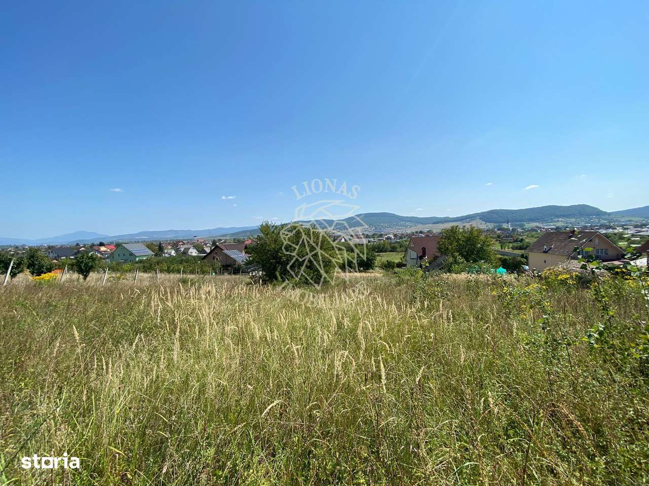 Teren intravilan 1300 mp-parcelabil-Viile cu Pomi-Unirea-Exclusiv - Imagine principală: 1/7