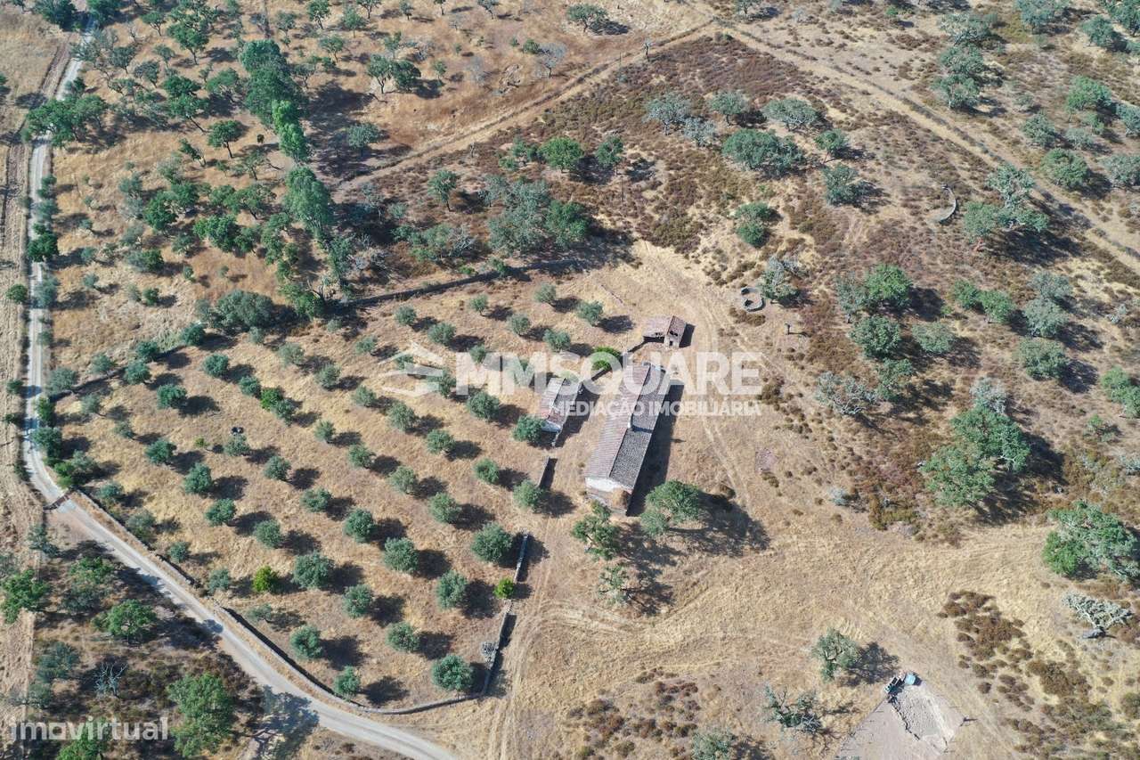 Monte do Chaparral — Ourique-9