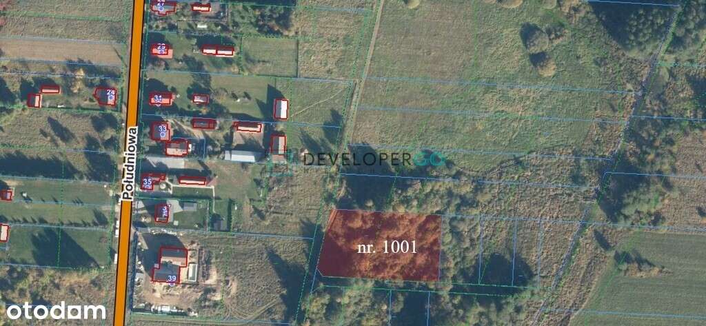 Siedlisko w Puszczy Białowieskiej z 2,8ha gruntu-7