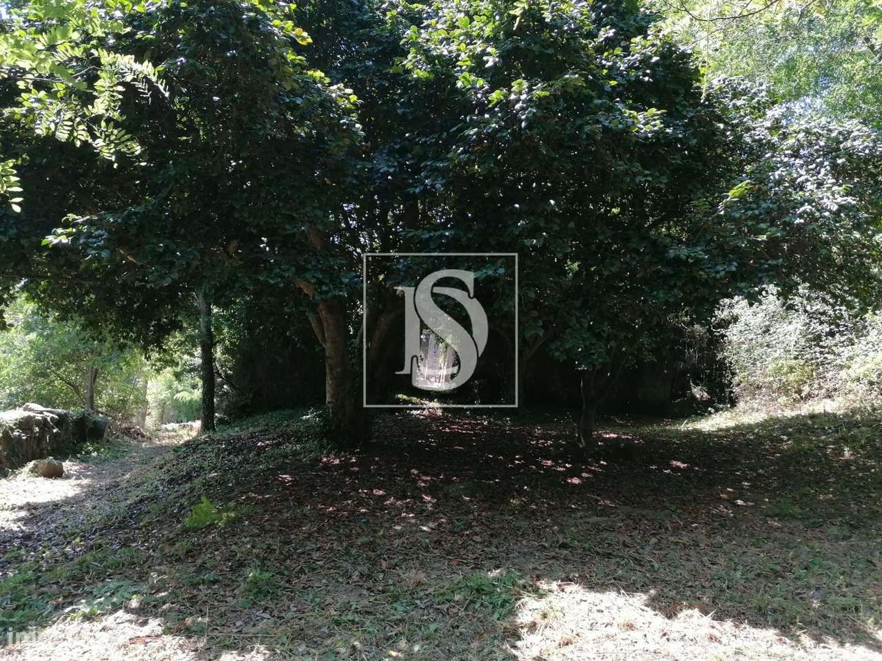 Quinta para Restauro em  Penhalonga e Paços de Gaiolo - Grande imagem: 4/19