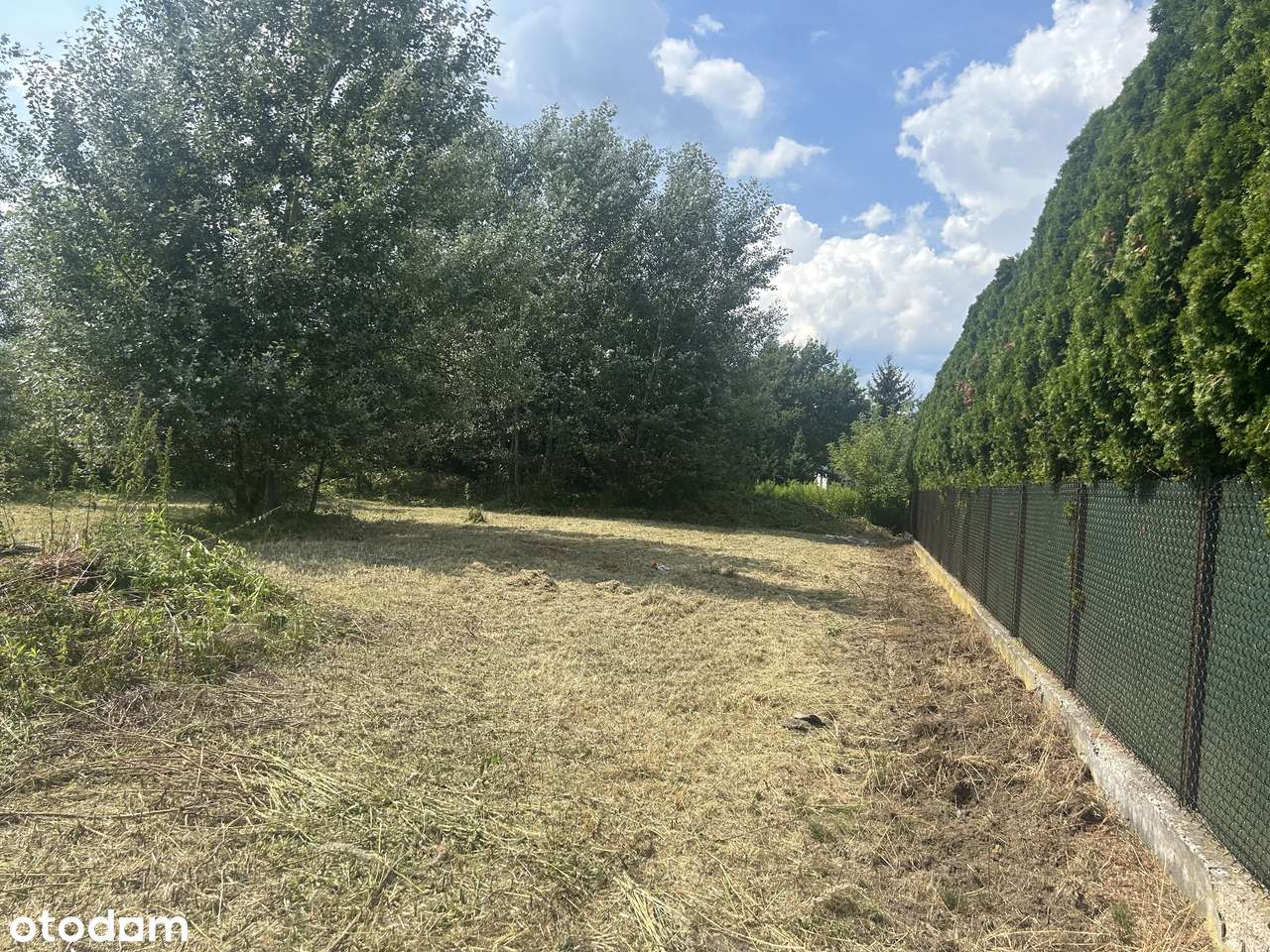 Działka w Starych Babicach ul. Izabelińska - Pełny obrazek: 5/8