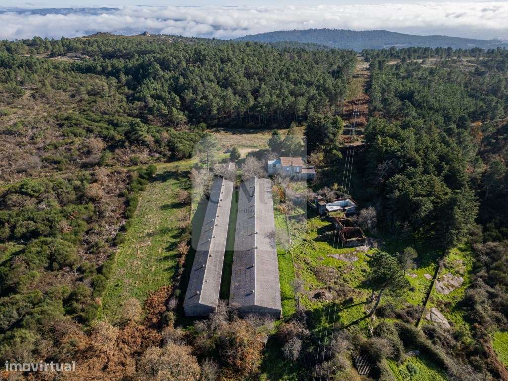 Em Campanha, Moradia T3 e Outras Edificações em Terreno de 12.491m2 - Grande imagem: 4/17