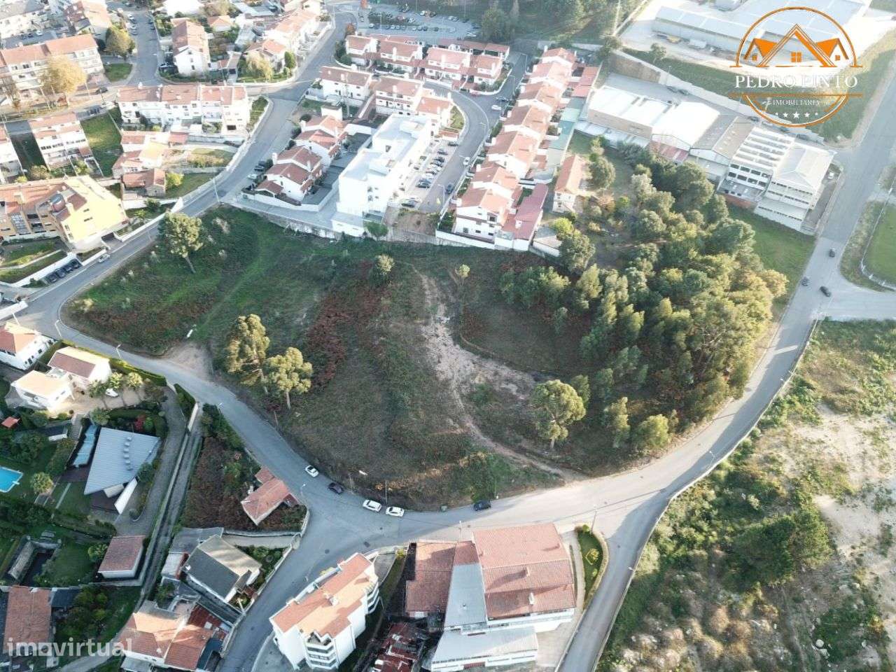 Terreno Urbano de 10.935m² em Oliveira do Douro - Oportunidade Única - Grande imagem: 5/9