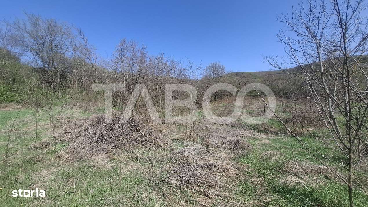 Teren intravilan de vanzare 1450 mp Slimnic Sibiu - Imagine principală: 1/3