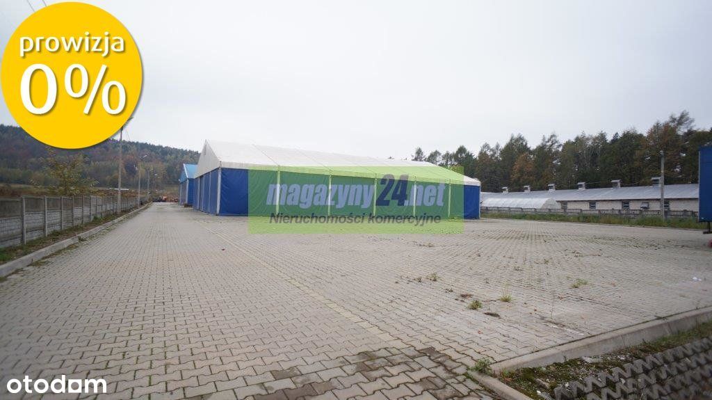 Hala/Magazyn, 1 000 m², Kielce