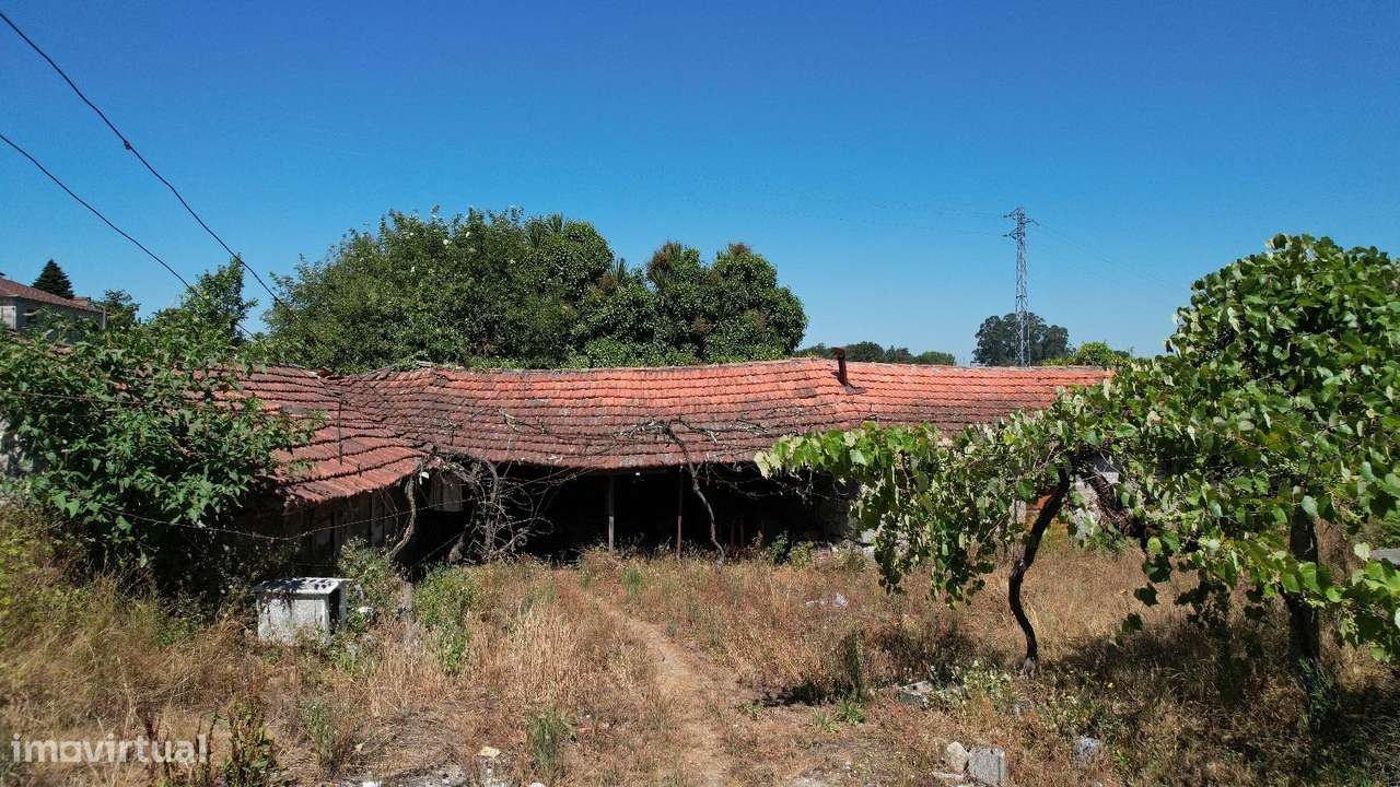 Quinta com mais de 2 Hectares, entre A4 e A42 | Turismo Rural &... - Grande imagem: 4/16