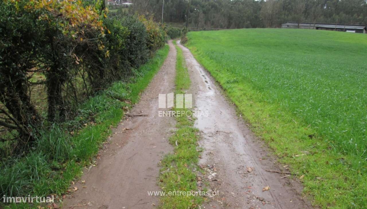 Venda de Terreno, Vilarinho das Cambas, Vila Nova de Famalicão - Grande imagem: 5/12