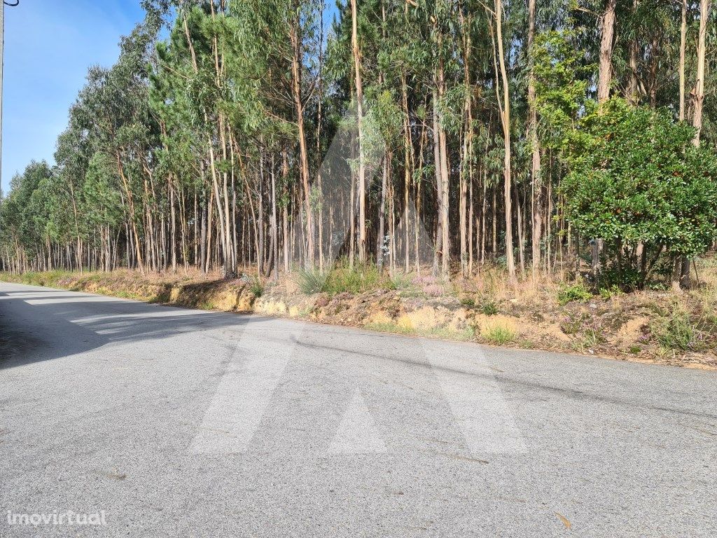 Terreno Industrial em Pinheiro da Bemposta