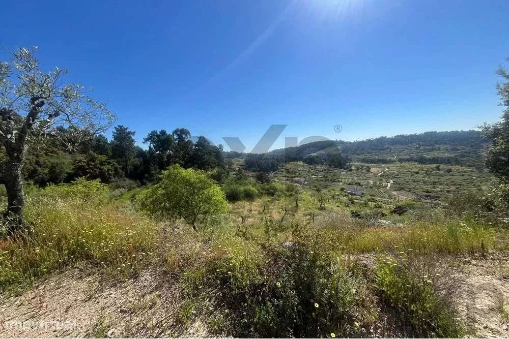 Quinta Rústica em Pegarinhos – Alijó Oportunidade única no coração do - Grande imagem: 5/33