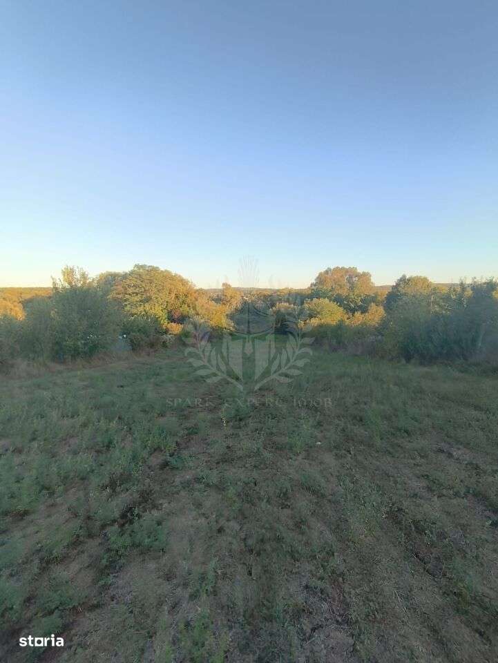 TEREN INTRAVILAN  PLOPU//3000 MP - Imagine principală: 5/9