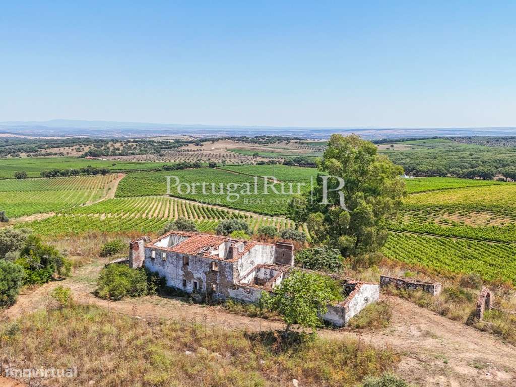 Herdade de 20,6 hectares com vinha e vocação turística - Grande imagem: 3/43