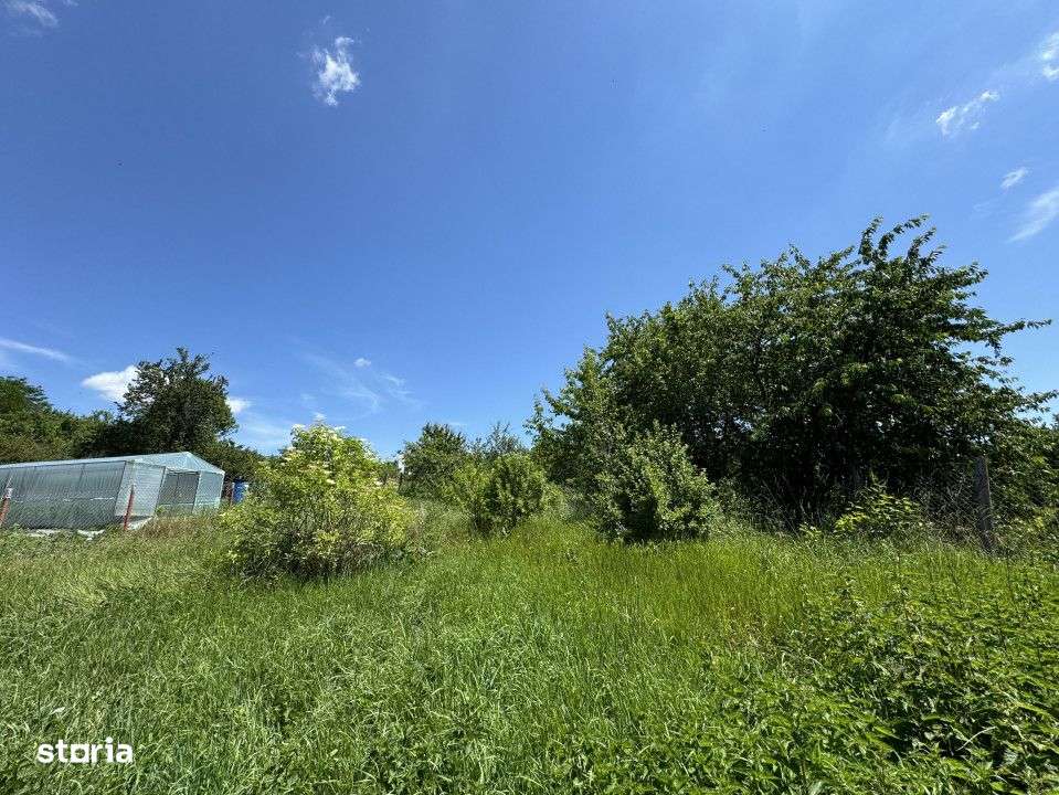 Oportunitate Investitie, Teren Intravilan, 1775 mp, Chinteni - Imagine principală: 4/4