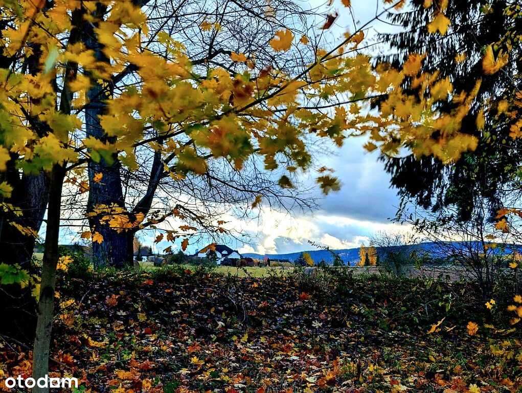 Działka w super lokalizacji - Stary Wielisław-0