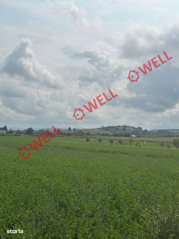 De vânzare 2 terenuri intravilane în comuna Albești - Imagine principală: 5/7