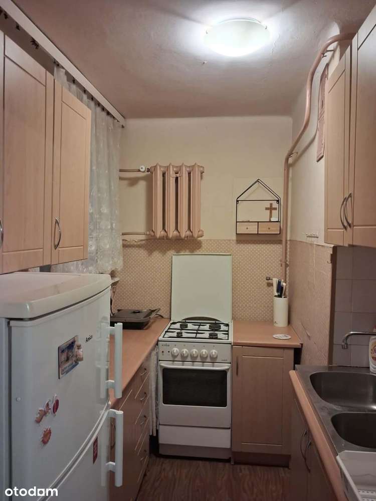 Do wynajecia - Pełny obrazek: 4/11