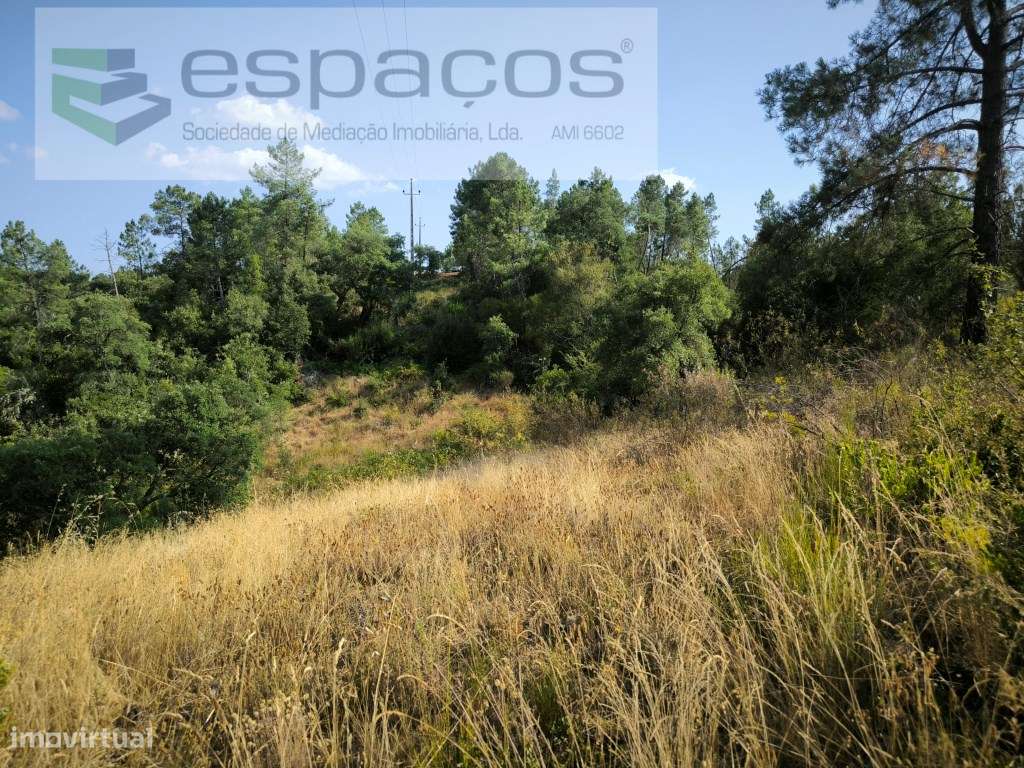 Terreno com mina de água - Cabeço do Infante - Grande imagem: 3/17