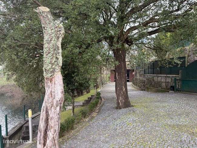 Moradia em local Idílico - Terras de Bouro - Grande imagem: 4/10