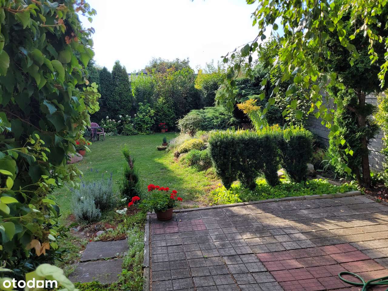 Kamienica w Starym Rynku-17