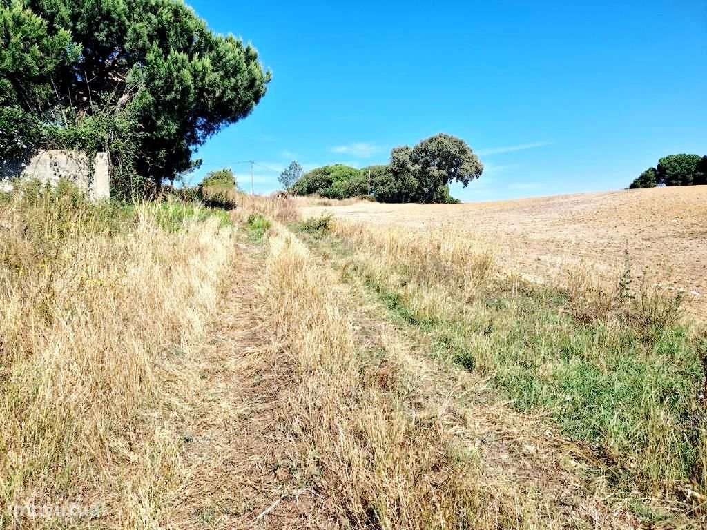 Penteado, Pinhal Novo, lote de terreno urbano com 1.050 m2 para 40 m2