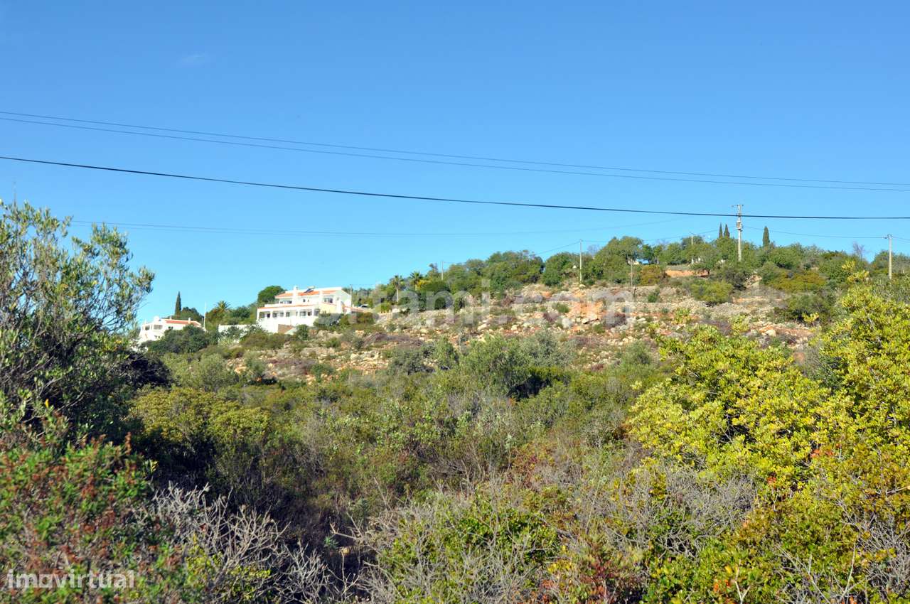 Terreno Rústico  Venda em Conceição e Estoi,Faro - Grande imagem: 4/5