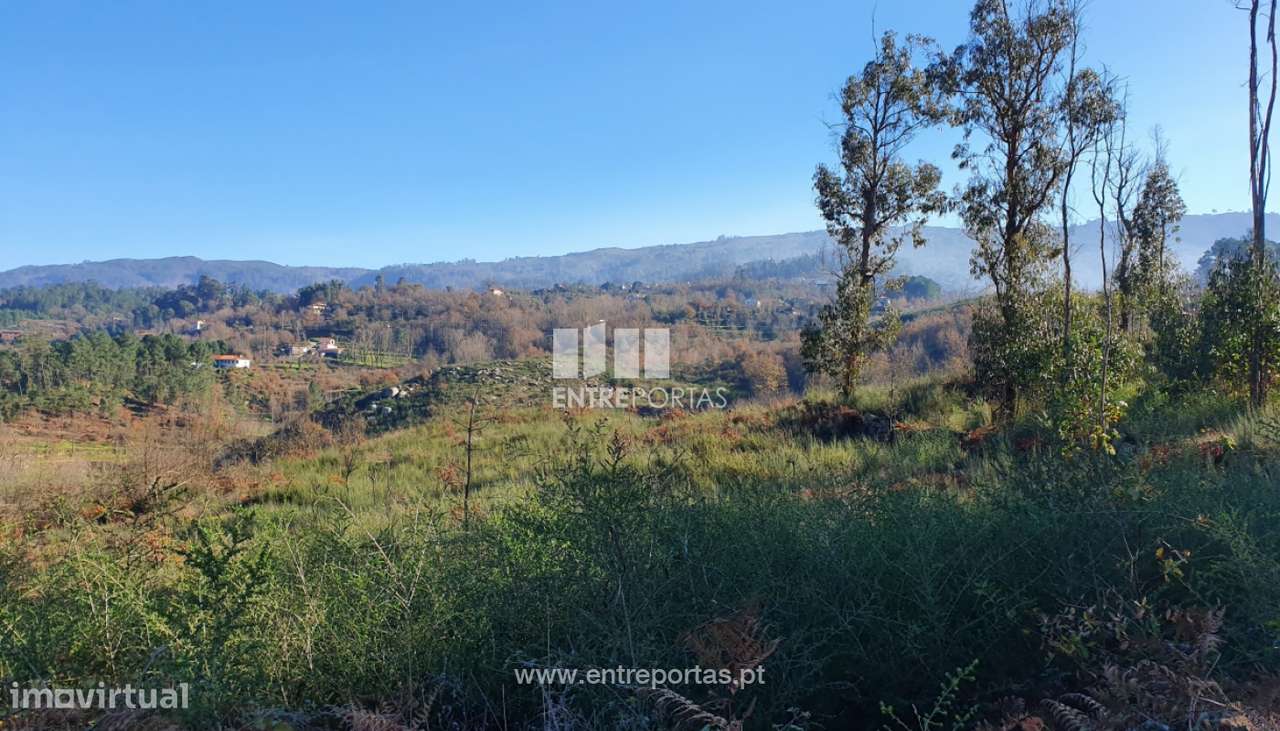 Venda Terreno, Várzea de Ovelha e Aliviada, Marco de Canaveses - Grande imagem: 3/30