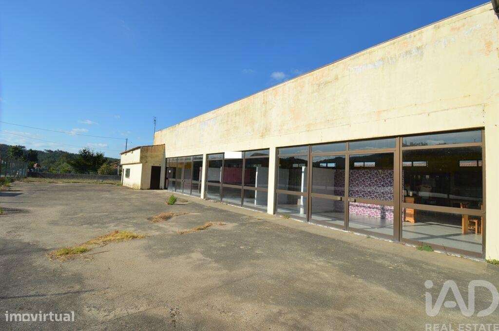 Loja / Estabelecimento Comercial em São Miguel, Santa Eufémia e Rabaça - Grande imagem: 5/20